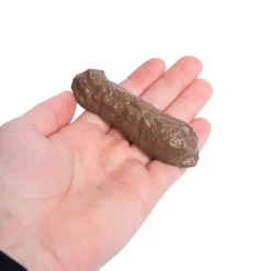 Bajskorv