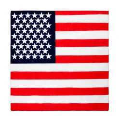 Bandana, USA 52x52 cm