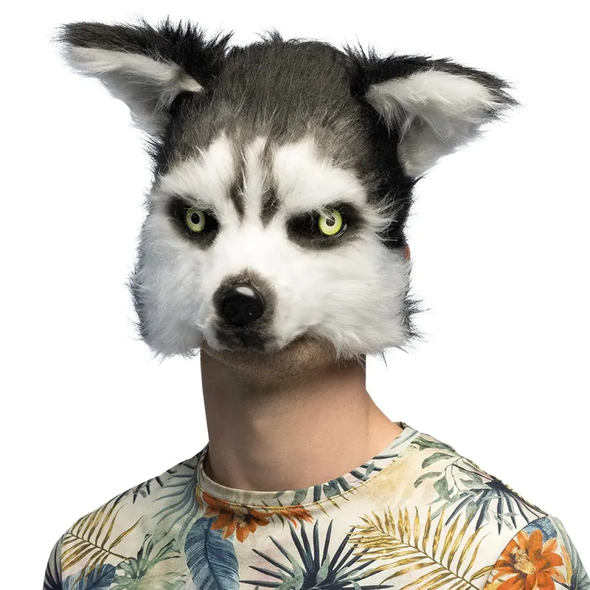 Djurmask, husky