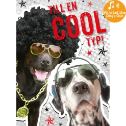 Dubbla kort med ljudeffekt, Cool typ