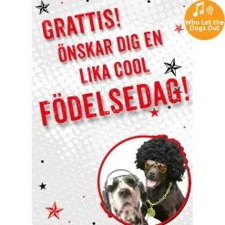 Dubbla kort med ljudeffekt, Cool typ