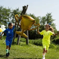 Folieballong, champion cup 85x77 cm