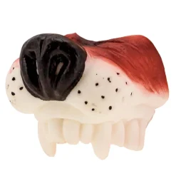 Gumminäsa, hund