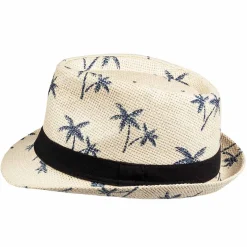 Hatt, palmer