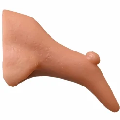 Häxnäsa