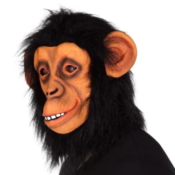 Latexmask, apa