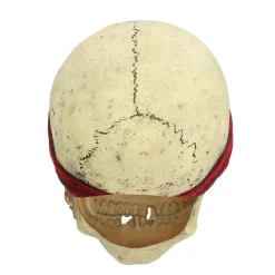 Latexmask, Pirate Crinson