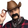 Mustasch, gringo