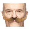 Mustasch, maestro brun