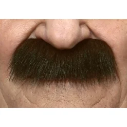 Mustasch, professor brun