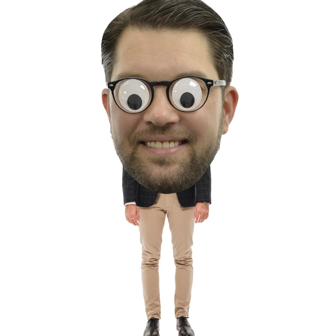 Pappmask jumbo, Jimmie Åkesson