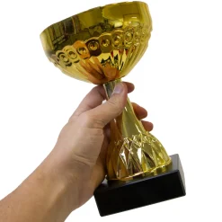Pokal