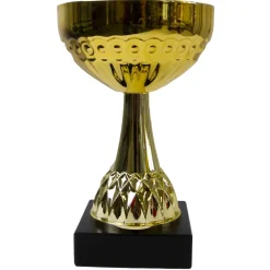 Pokal