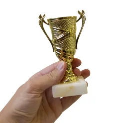 Pokal