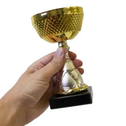 Pokal