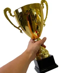 Pokal