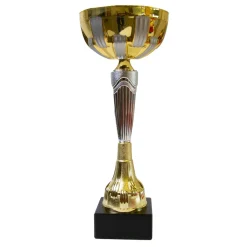 Pokal