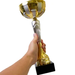 Pokal