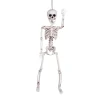 Prop, hängande skelett 60 cm