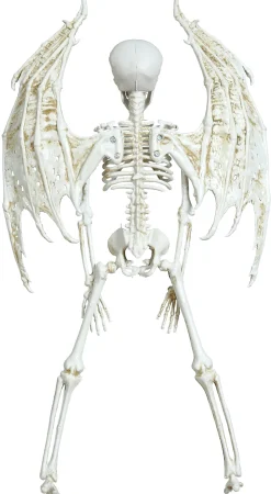 Prop, hängande skelett med vingar 43 cm
