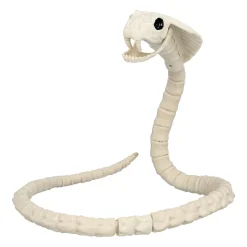 Prop, ormskelett 102x10 cm
