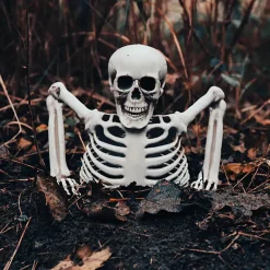 Prop, skeleton groundbreaker 20 cm