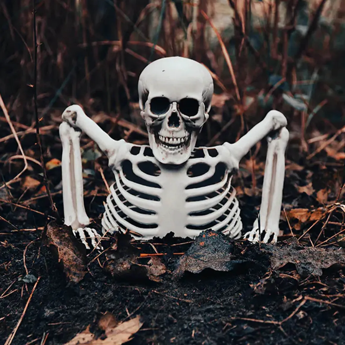 Prop, skeleton groundbreaker 20 cm