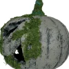 Pumpa med mossa, 20 cm