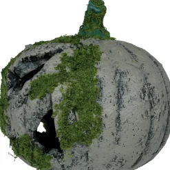 Pumpa med mossa, 20 cm