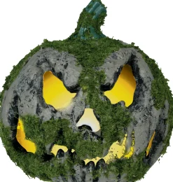Pumpa med mossa, 20 cm