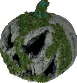 Pumpa med mossa, 20 cm