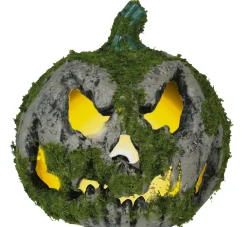 Pumpa med mossa, 20 cm