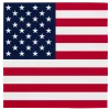 Servetter, USA 33x33 cm 20 st