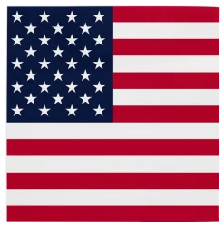 Servetter, USA 33x33 cm 20 st