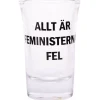 Snapsglas, Allt är feministernas fel