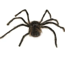 Spindel, hårig brun 75 cm