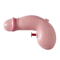 Vattenpistol, penis